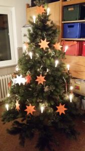 Unser Wunsch-Weihnachtsbaum.